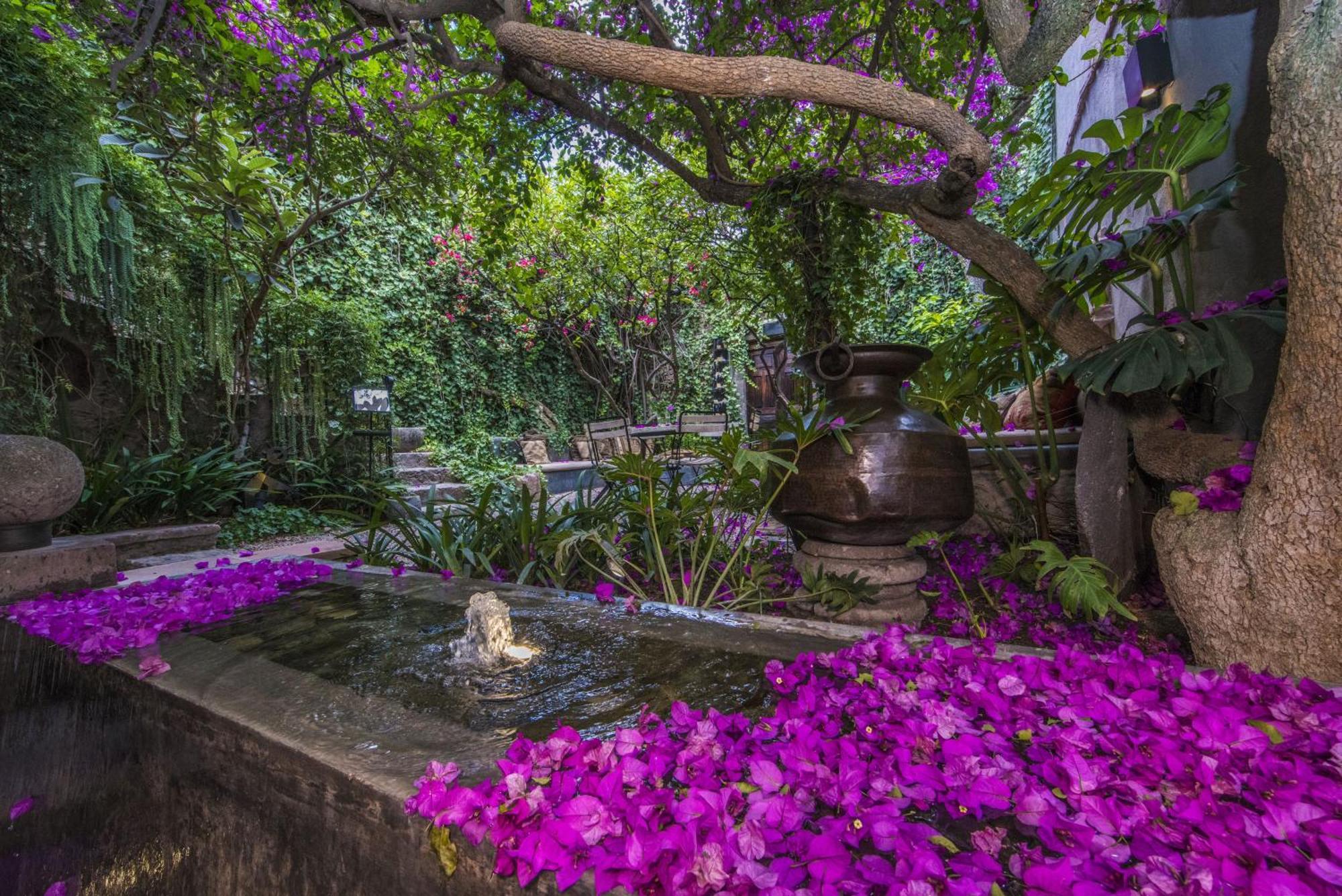 Casa No Name Small Luxury Hotel サン・ミゲル・デ・アジェンデ エクステリア 写真