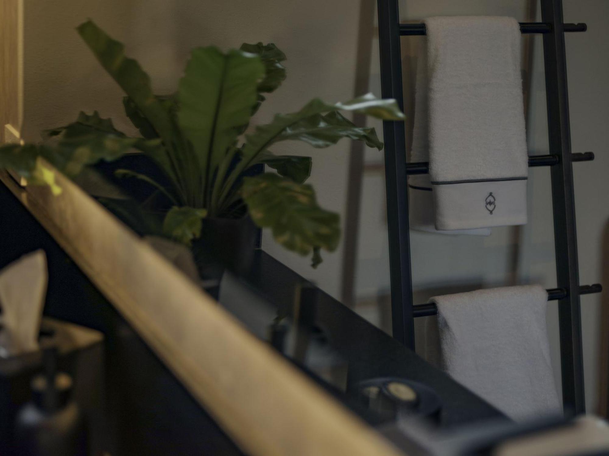 Casa No Name Small Luxury Hotel サン・ミゲル・デ・アジェンデ 部屋 写真