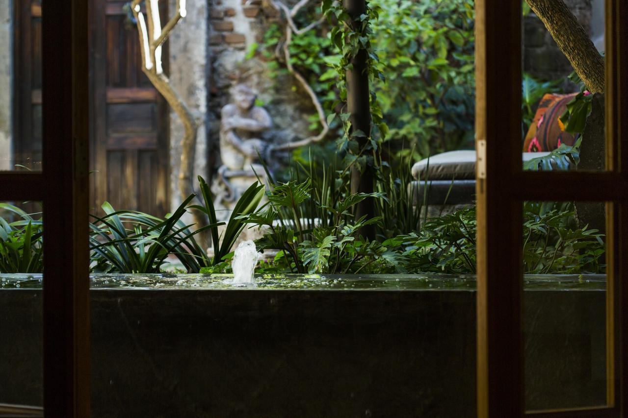 Casa No Name Small Luxury Hotel サン・ミゲル・デ・アジェンデ エクステリア 写真